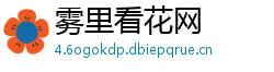 雾里看花网